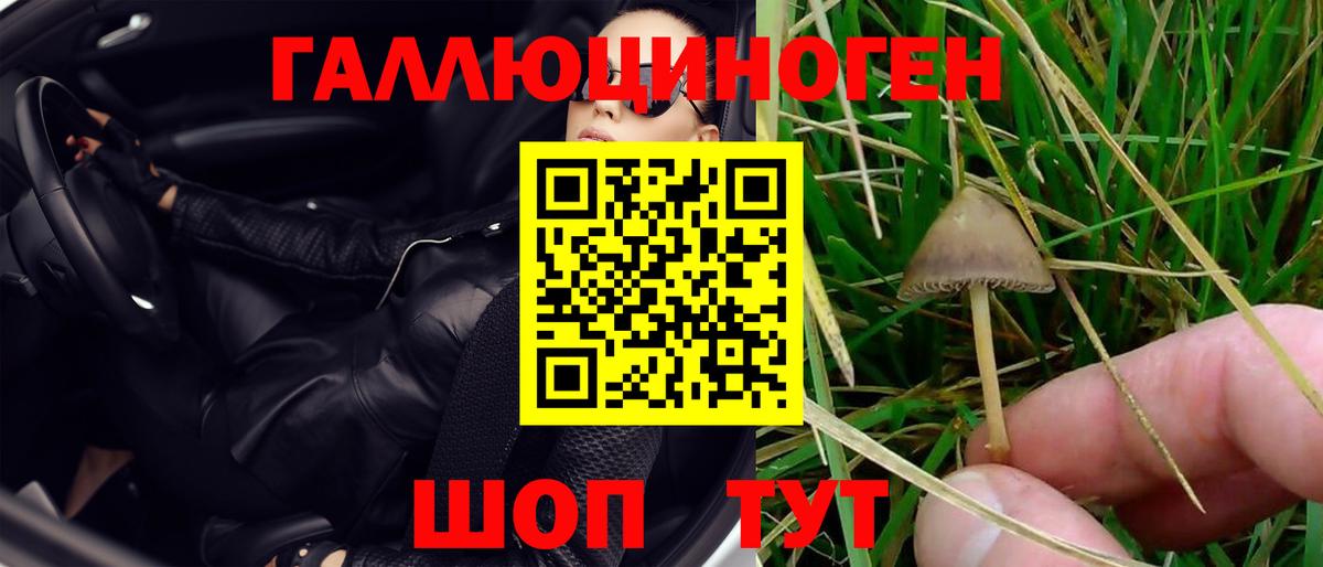 Псилоцибиновые грибы Cubensis  Вход с VPN  Уссурийск  Галлюциногенные грибы Magic Shrooms 